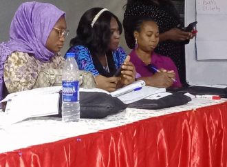 Media Experts Speak on Safety of Women Journalist During Elections