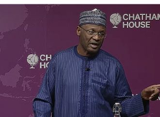 INEC Assures Global Community on the Delivery of Credible Polls