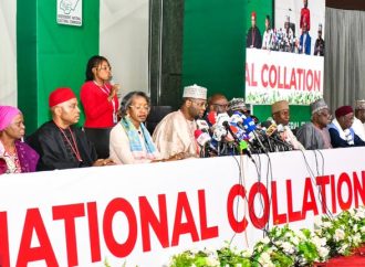 INEC Releases 2023 Election Results in 19 More States and FCT