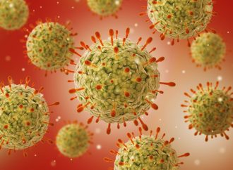 Fact-Check: Could kissing or Touching Babies Give Oral Herpes?