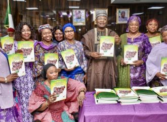 INEC Boss Wants Affirmative Action in Electoral Reform, Remi Tinubu Urges Investment in Women