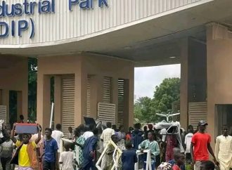 Protests Show Nigeria’s Diversity: Peaceful, Violent, For and Against President Tinubu