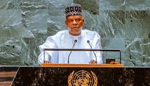 Nigeria Renews Push for UN Security Council Seat, Calls for Global Reform