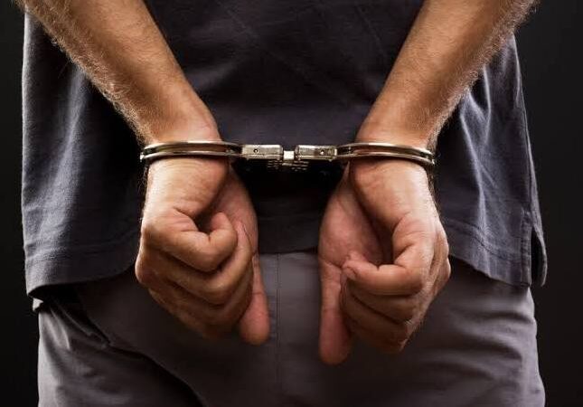 Fact-Check: Is Nigeria’s Crime Rate Lower than the United States?