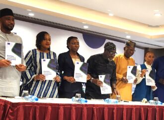 The EU-SDGN Pre-Election Assessment Report on Anambra Governorship Election 2025