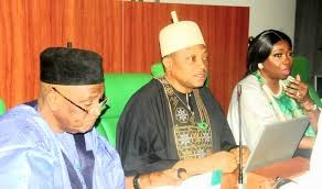 Reps Boost Diaspora Integration, Launches NiDRes App for Nigerians Abroad