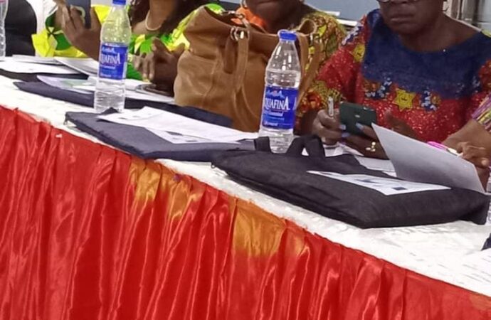 IDEI: IPC Hosts Webinar on Threats to Women Journalists