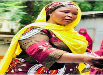 Fatima Danjuma: From EU-SDGN Participant to Women’s Empowerment Leader