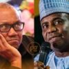Fact-Check: False! African Democratic Congress Did Not Adopt Obi and Tambuwal as Candidates